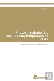 Phytostimulation By Bacillus Amyloliquefaciens Fzb42