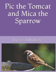 Pic The Tomcat And Mica The Sparrow