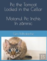 Pic The Tomcat Locked In The Cellar - Motanul Pic Inchis In ZăMnic