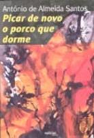 Picar de Novo o Porco que Dorme