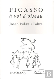Picasso A Vol D'Oiseau