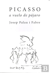 Picasso A Vuelo De Pajaro