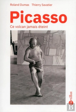 Bertrand.pt - Picasso ; Ce Volcan Jamais Éteint