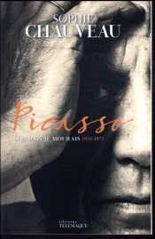 Picasso V2