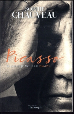 Bertrand.pt - Picasso V2