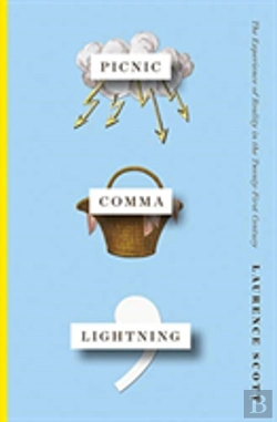 Bertrand.pt - Picnic Comma Lightning