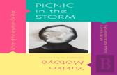Picnic In The Storm