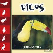 Picos