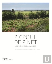 Picpoul De Pinet ; Une Odyssée Viticole En Languedoc