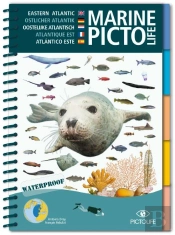 Pictolife Atlantique Est