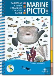 Pictolife Atlantique Tropical Ouest