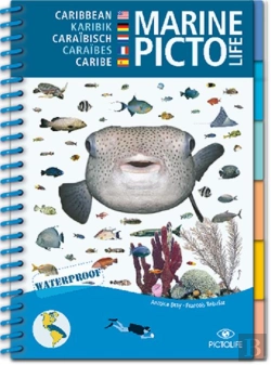 Bertrand.pt - Pictolife Atlantique Tropical Ouest