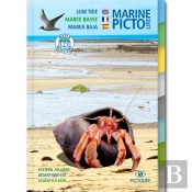 Pictolife Maree Basse : Atlantique Est