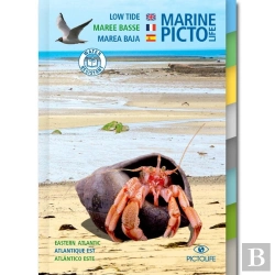 Bertrand.pt - Pictolife Maree Basse : Atlantique Est