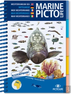 Bertrand.pt - Pictolife Mer Mediterranee