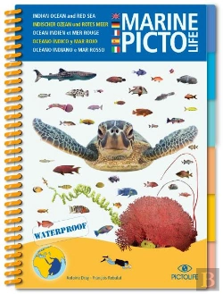 Bertrand.pt - Pictolife Mer Rouge - Ocean Indien