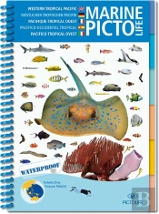 Pictolife Pacifique Tropical Ouest