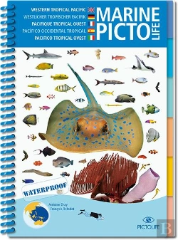 Bertrand.pt - Pictolife Pacifique Tropical Ouest