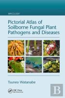 Pictorial Atlas Of Soilborne Fungal Plant Pathogens And Diseases