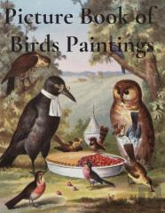 Picture Book Of Birds Paintings