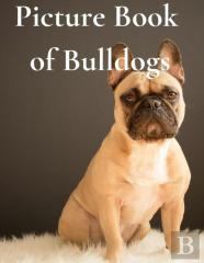 Picture Book Of Bulldogs