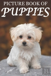 Picture Book Of Puppies: Picture Book Of