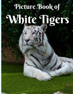 Bertrand.pt - Picture Book Of The White Tiger