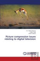 Picture Compression Issues Relating To Digital Television