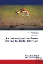 Picture Compression Issues Relating To Digital Television