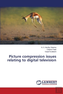 Bertrand.pt - Picture Compression Issues Relating To Digital Television