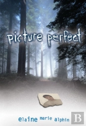 Picture Perfect