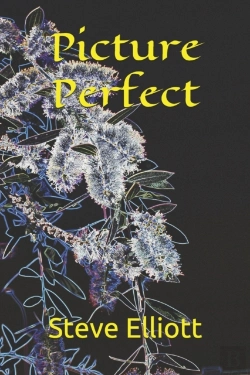 Bertrand.pt - Picture Perfect