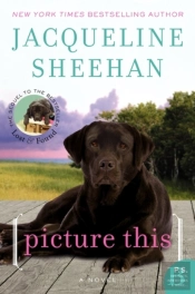 Picture This