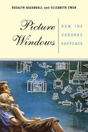 Picture Windows