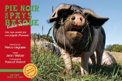 Bertrand.pt - Pie Noir Du Pays Basque, Une Race Sauvee Par Une Poignee D'Hommes