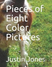Pieces Of Eight Color Pictures