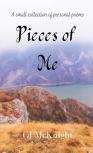 Pieces Of Me