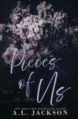 Pieces Of Us (Alternative Cover)