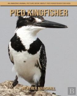 Bertrand.pt - Pied Kingfisher