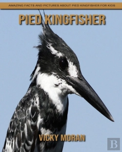 Bertrand.pt - Pied Kingfisher