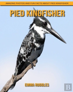 Bertrand.pt - Pied Kingfisher