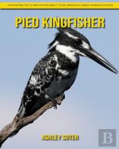 Pied Kingfisher
