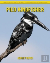 Pied Kingfisher