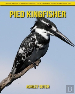 Bertrand.pt - Pied Kingfisher