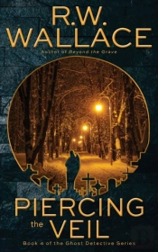 Piercing The Veil