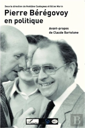 Pierre Bérégovoy En Politique