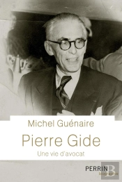 Pierre Gide, Une Vie D'Avocat