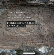 Pierres Et Marbres En Wallonie : Reconnaissance Et Genèse (2e Édition)