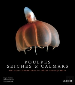 Bertrand.pt - Pieuvre, Seiches Et Calamars