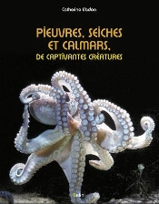 Pieuvres, Seiches Et Calmars ; De Captivantes Créatures
